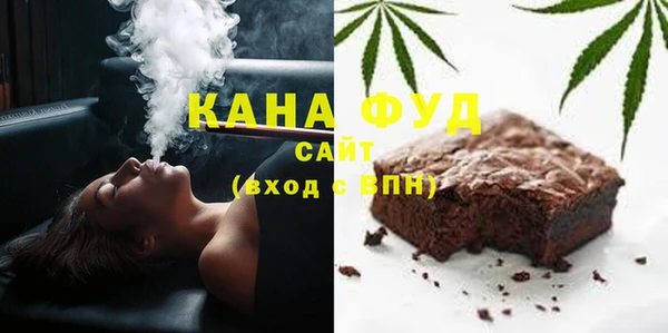гашик Пестово