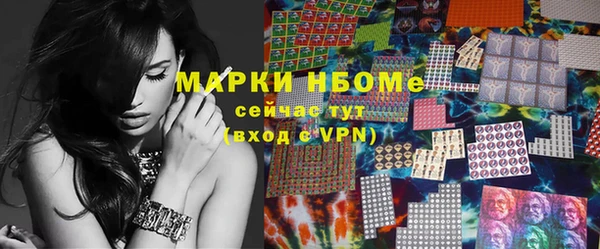прущие грибы Переславль-Залесский