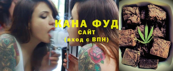 гашик Пестово