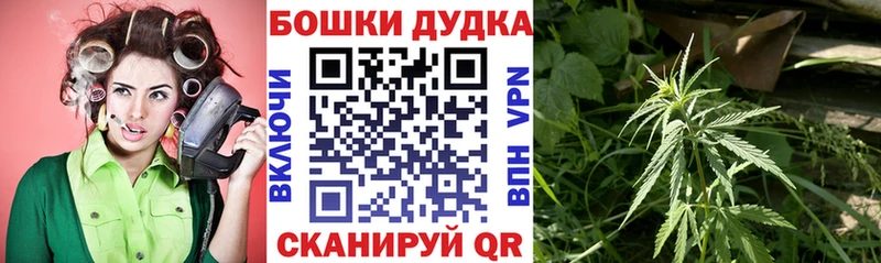 Бошки марихуана гибрид  где продают   Кизел 